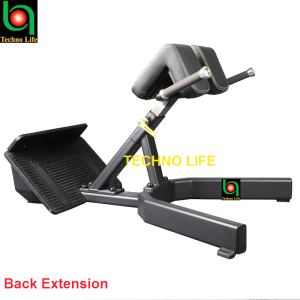 Back Extension               قطنية