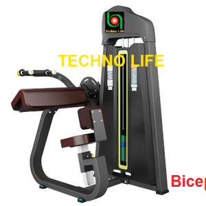 Combo Bicep & Triceps